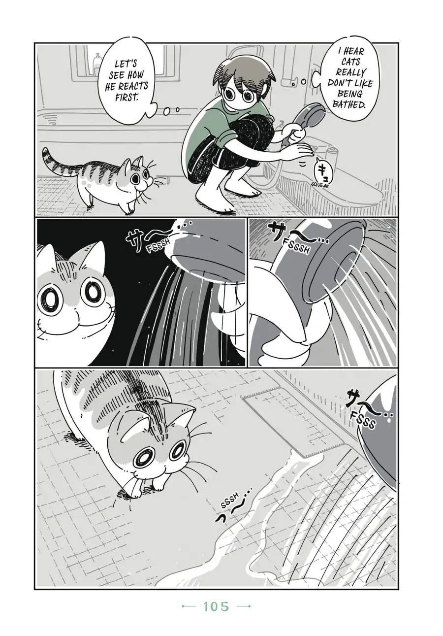 Nights with a Cat - chapter 26 - #4