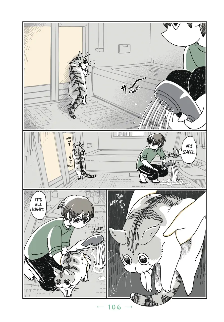 Nights with a Cat - chapter 26 - #5
