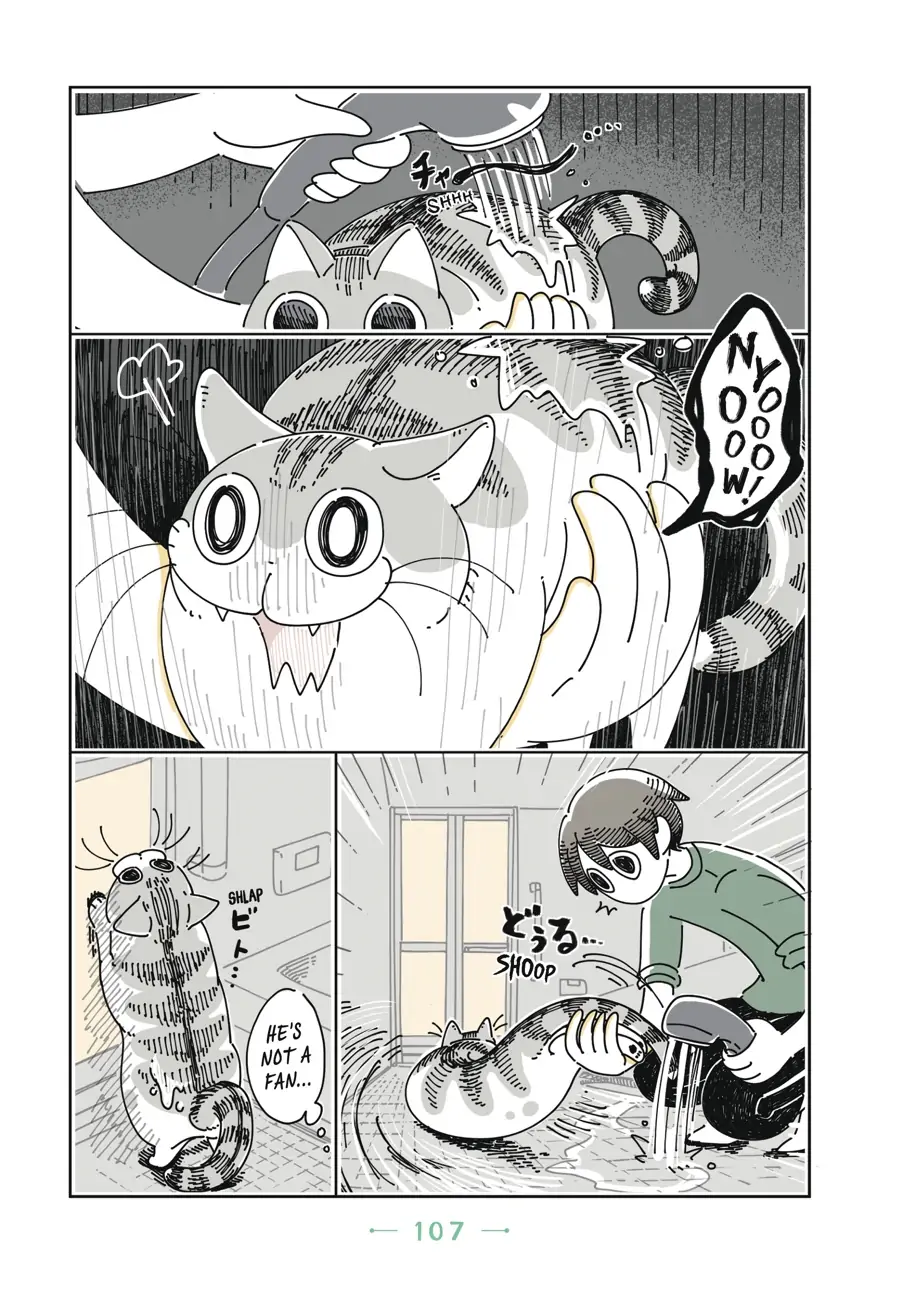 Nights with a Cat - chapter 26 - #6