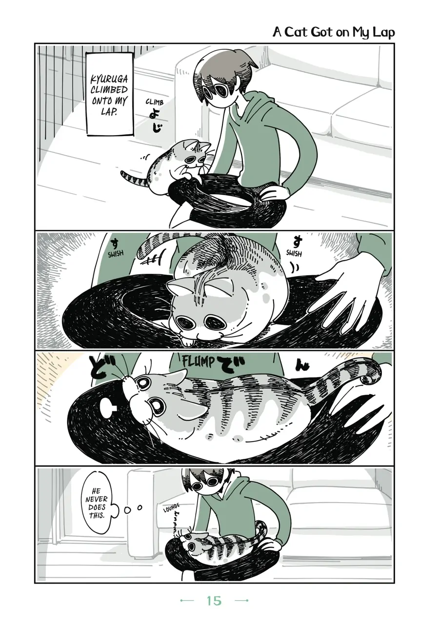 Nights with a Cat - chapter 31 - #1