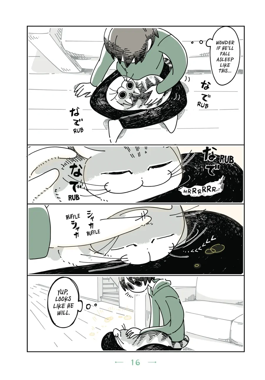Nights with a Cat - chapter 31 - #2