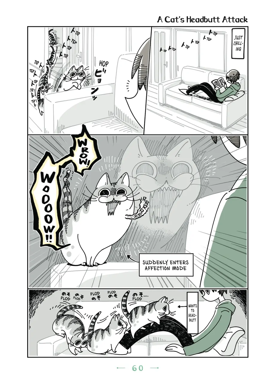 Nights with a Cat - chapter 47 - #1