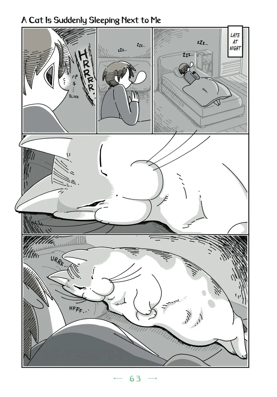 Nights with a Cat - chapter 48 - #1