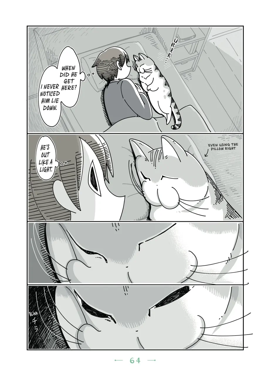 Nights with a Cat - chapter 48 - #2