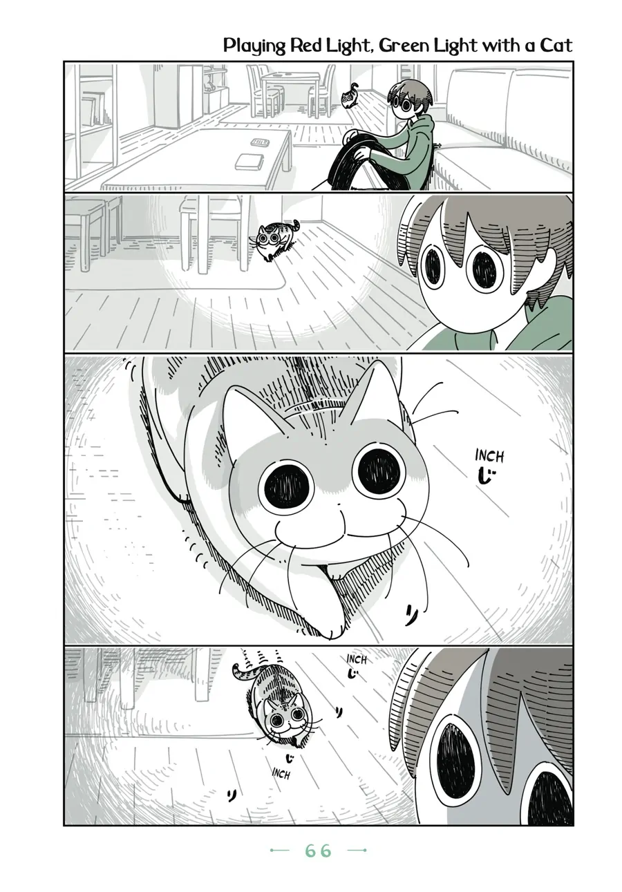 Nights with a Cat - chapter 49 - #1