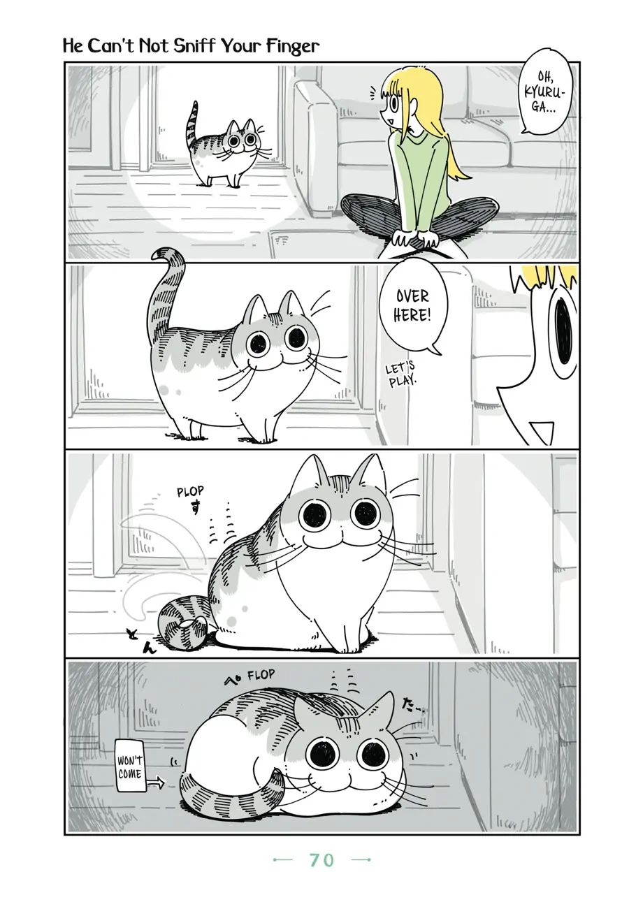 Nights with a Cat - chapter 50 - #1