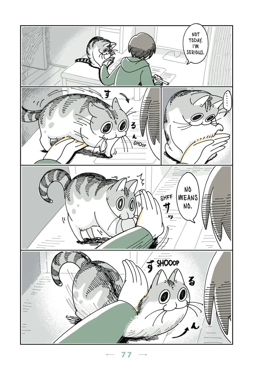 Nights with a Cat - chapter 52 - #2