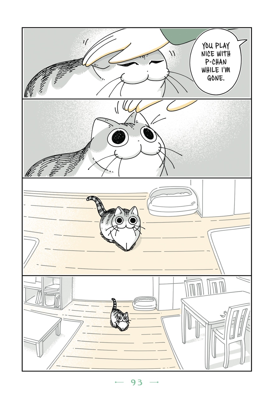 Nights with a Cat - chapter 56 - #2