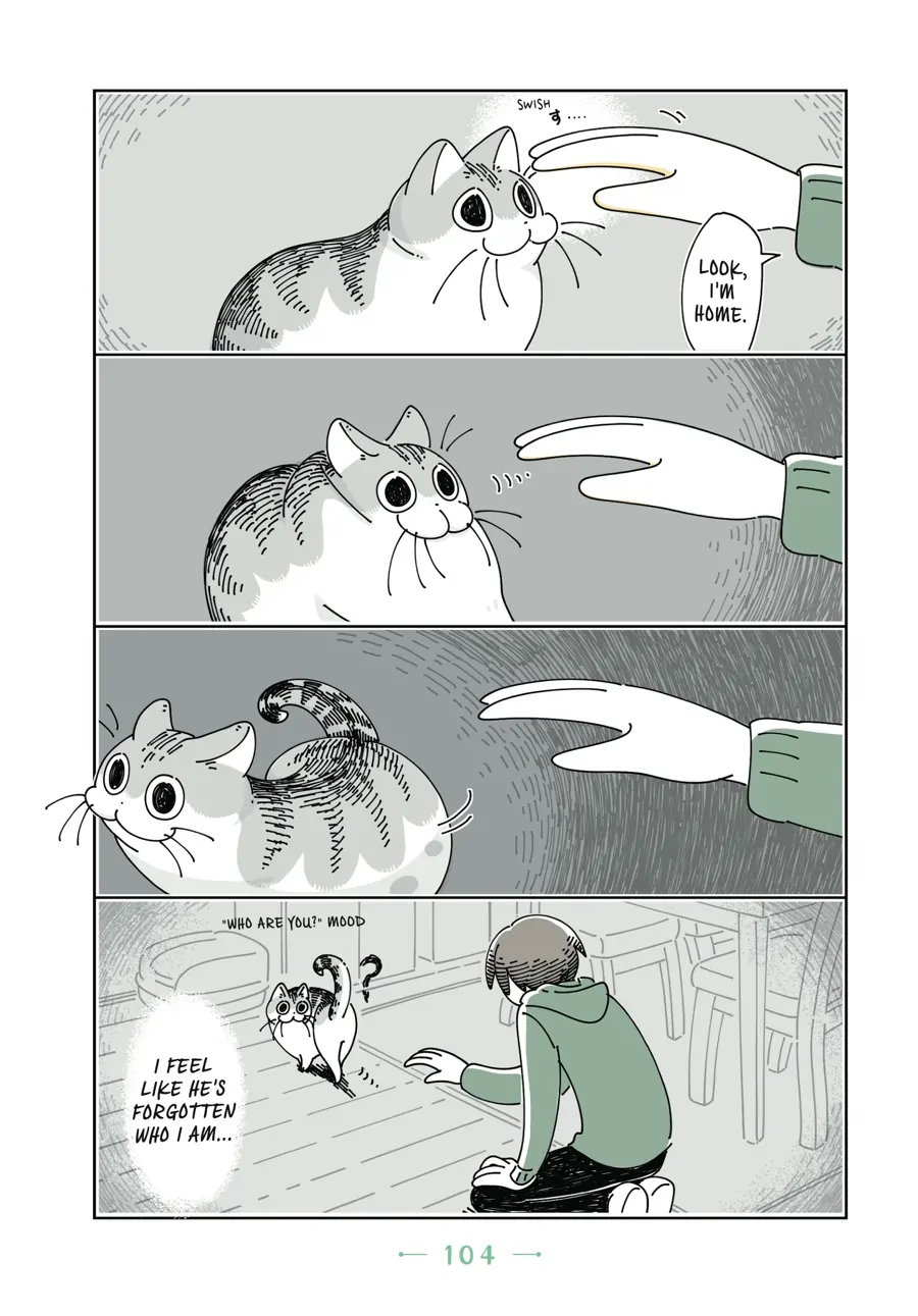 Nights with a Cat - chapter 58 - #3