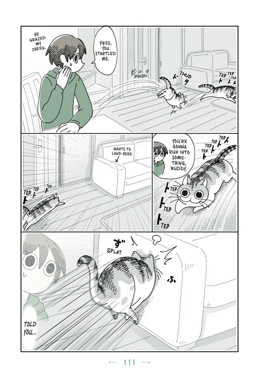 Nights with a Cat - chapter 59 - #4