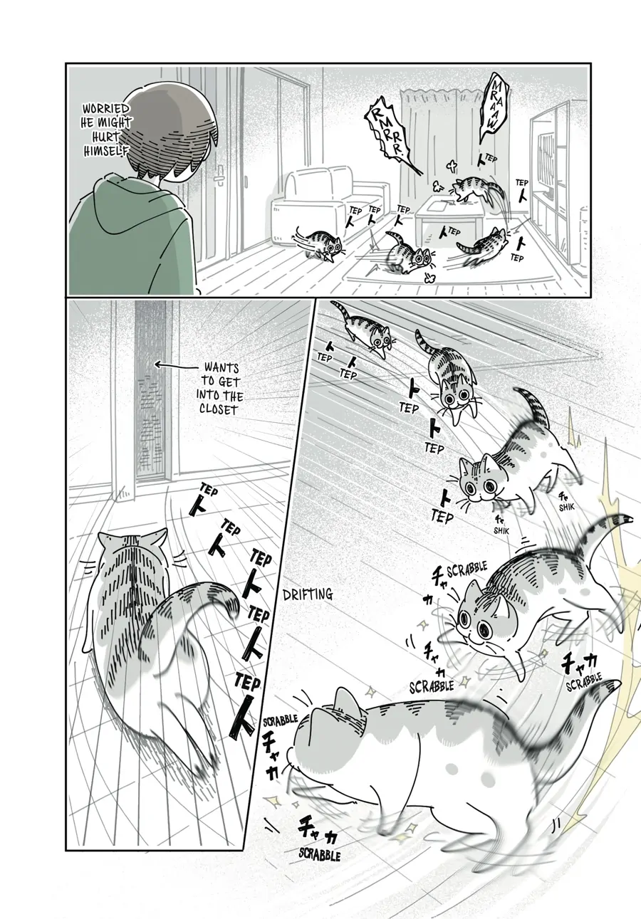Nights with a Cat - chapter 59 - #5