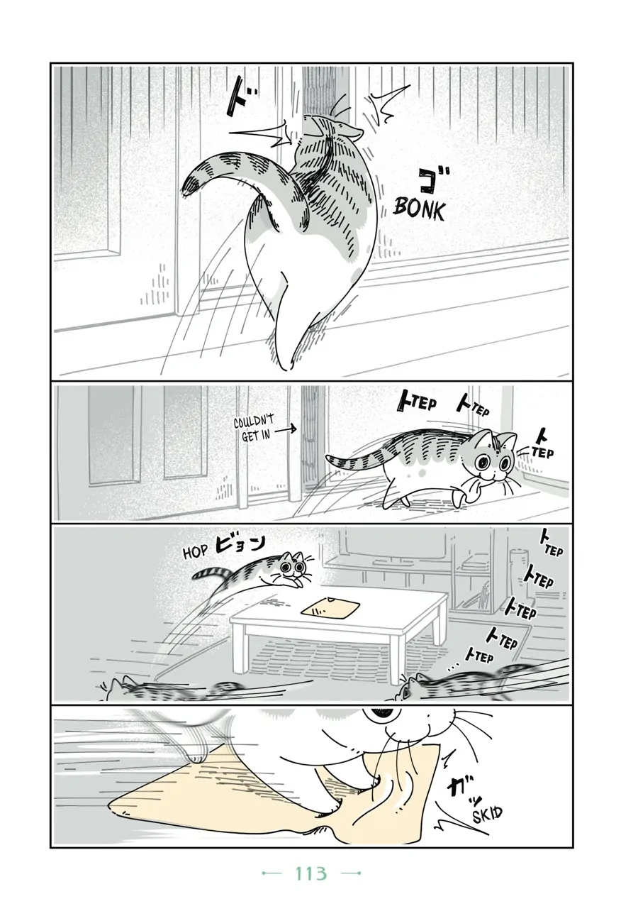 Nights with a Cat - chapter 59 - #6