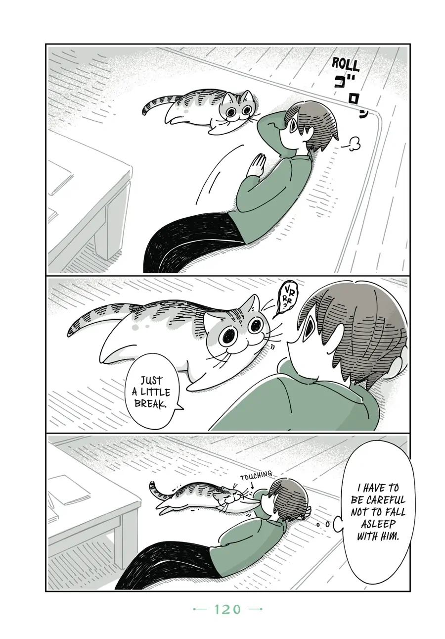 Nights with a Cat - chapter 60 - #4