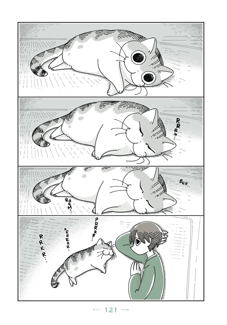 Nights with a Cat - chapter 60 - #5