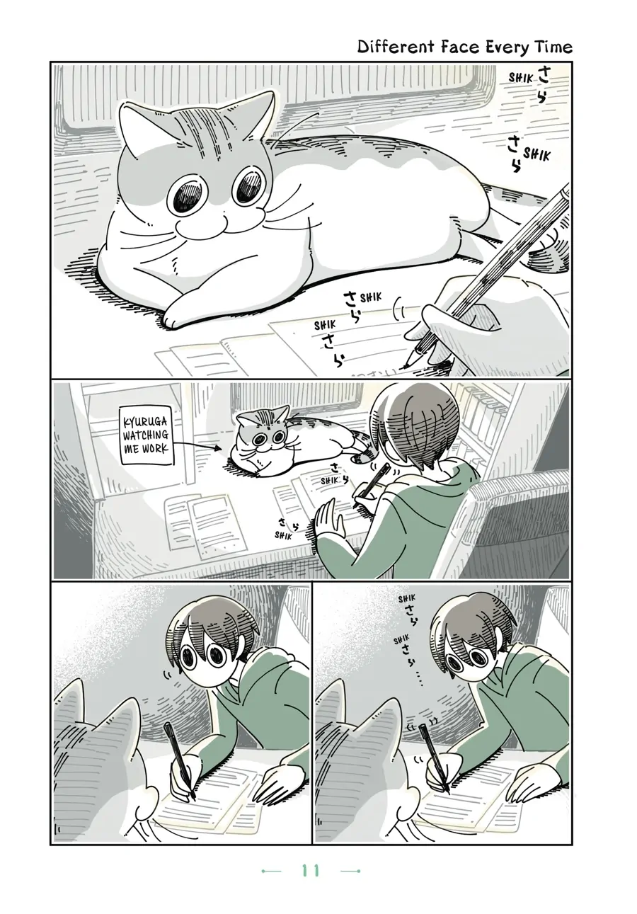 Nights with a Cat - chapter 63 - #1