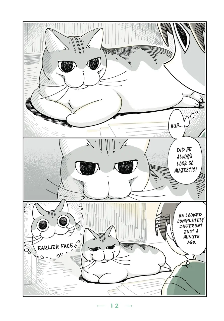 Nights with a Cat - chapter 63 - #2