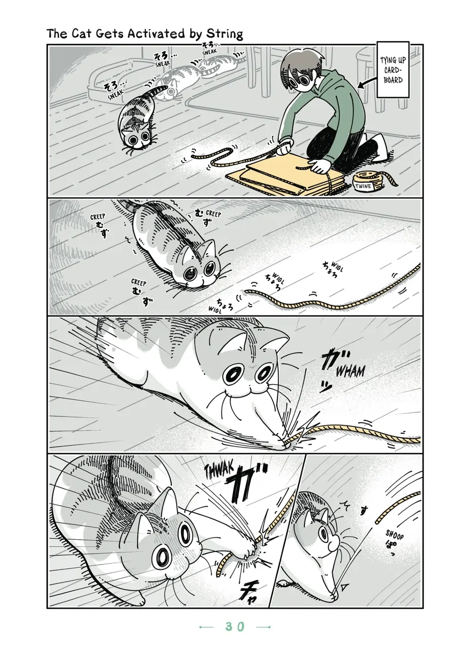 Nights with a Cat - chapter 70 - #1