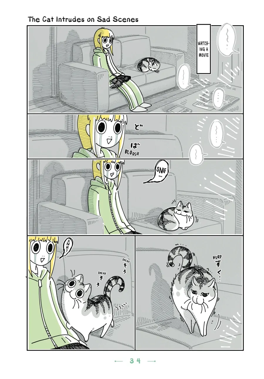 Nights with a Cat - chapter 72 - #1