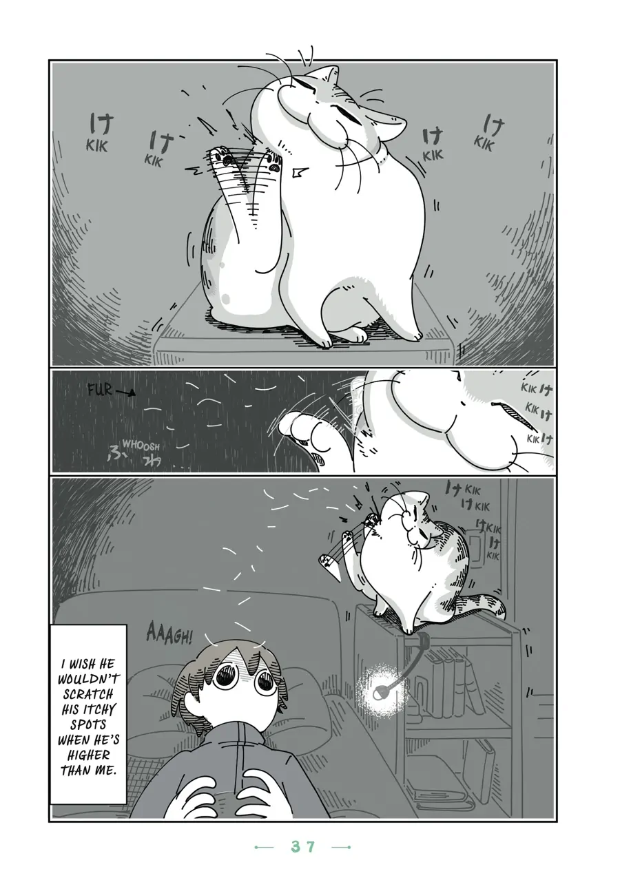 Nights with a Cat - chapter 73 - #1