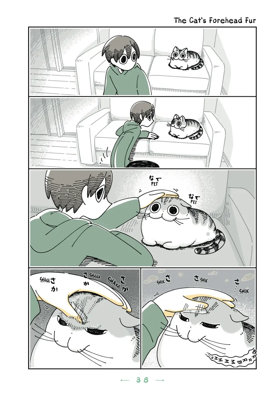Nights with a Cat - chapter 74 - #1