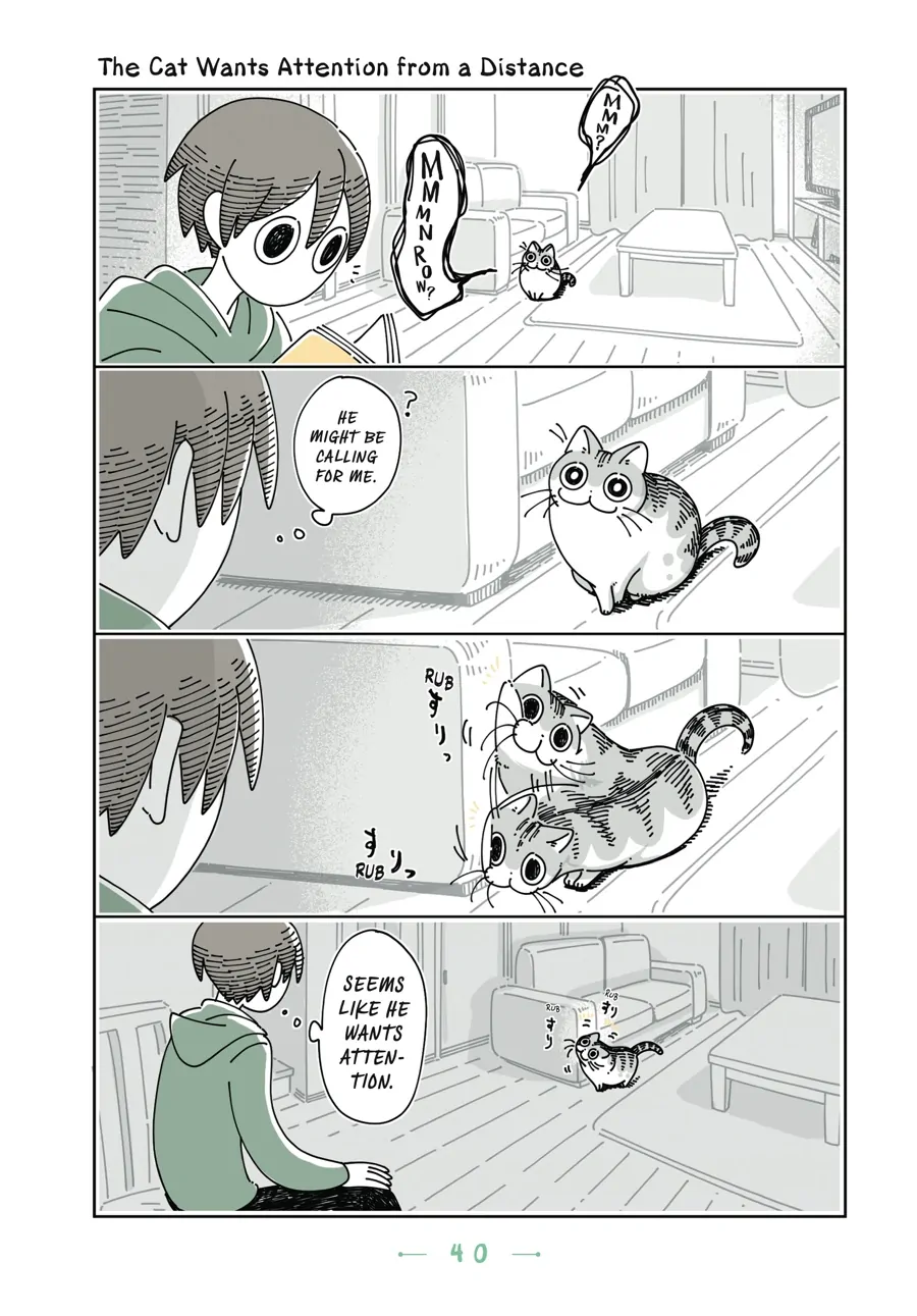 Nights with a Cat - chapter 75 - #1