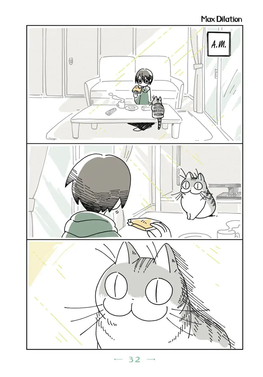 Nights with a Cat - chapter 8 - #1
