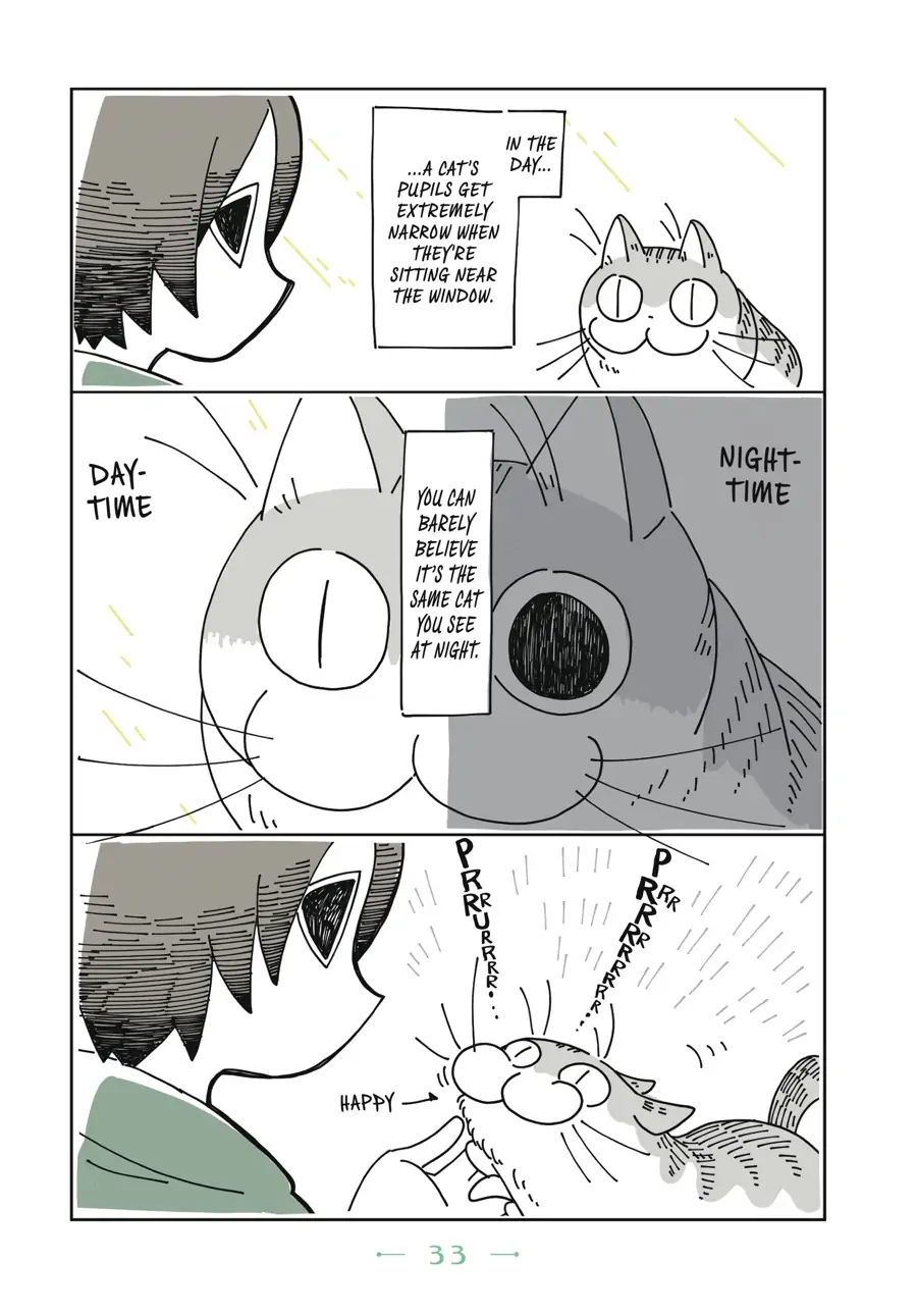Nights with a Cat - chapter 8 - #2