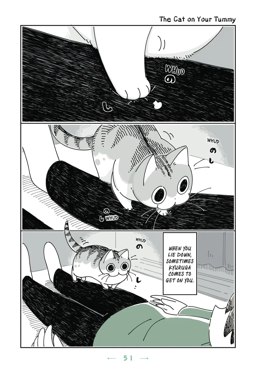 Nights with a Cat - chapter 80 - #1