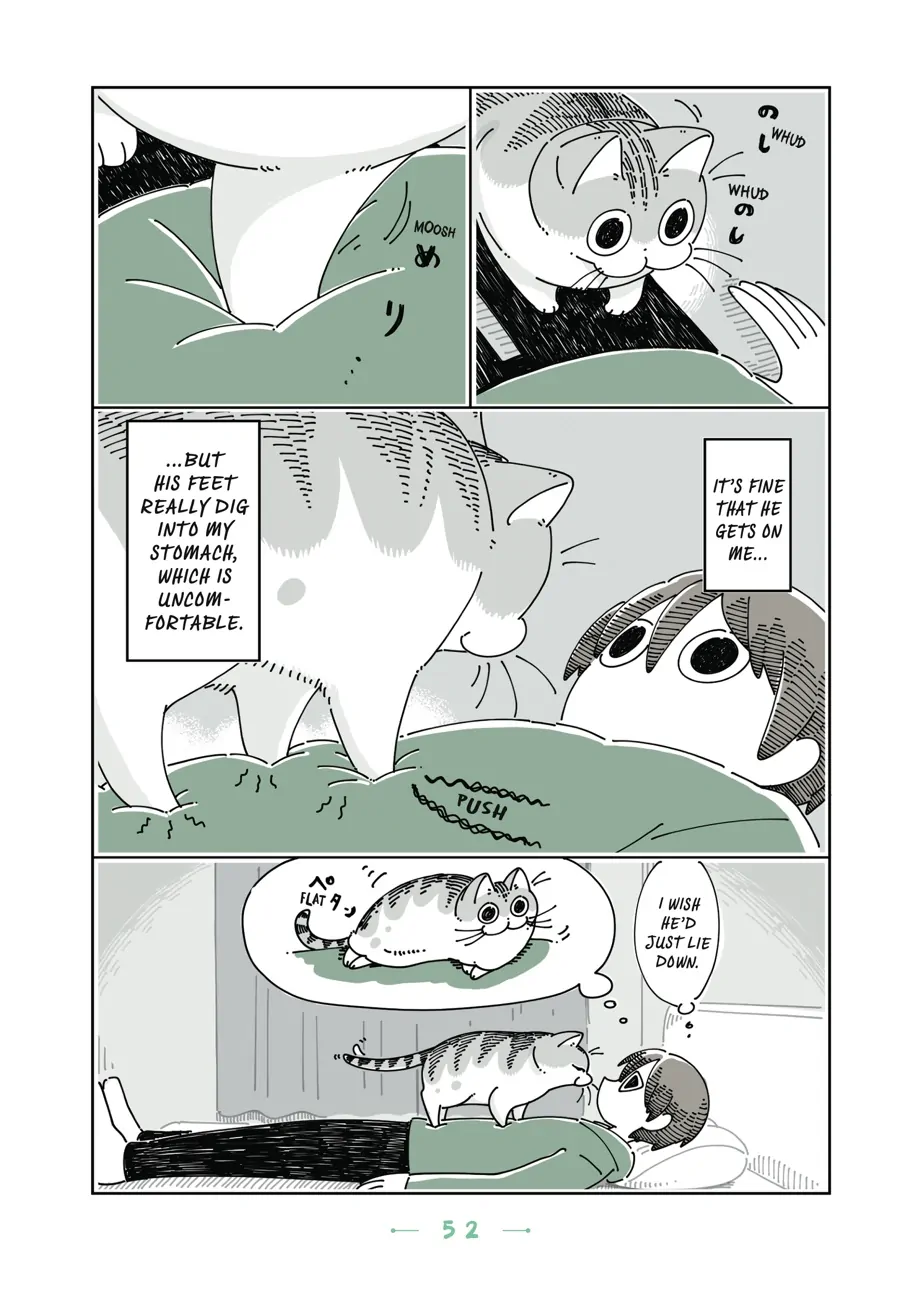 Nights with a Cat - chapter 80 - #2