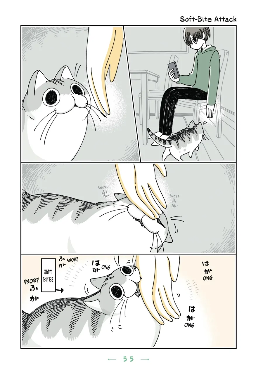 Nights with a Cat - chapter 81 - #1