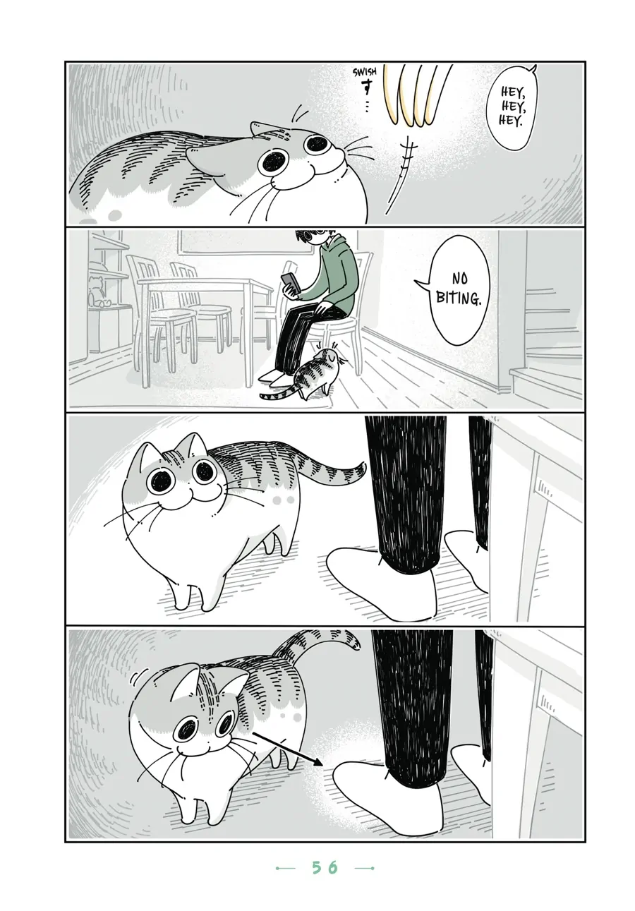 Nights with a Cat - chapter 81 - #2