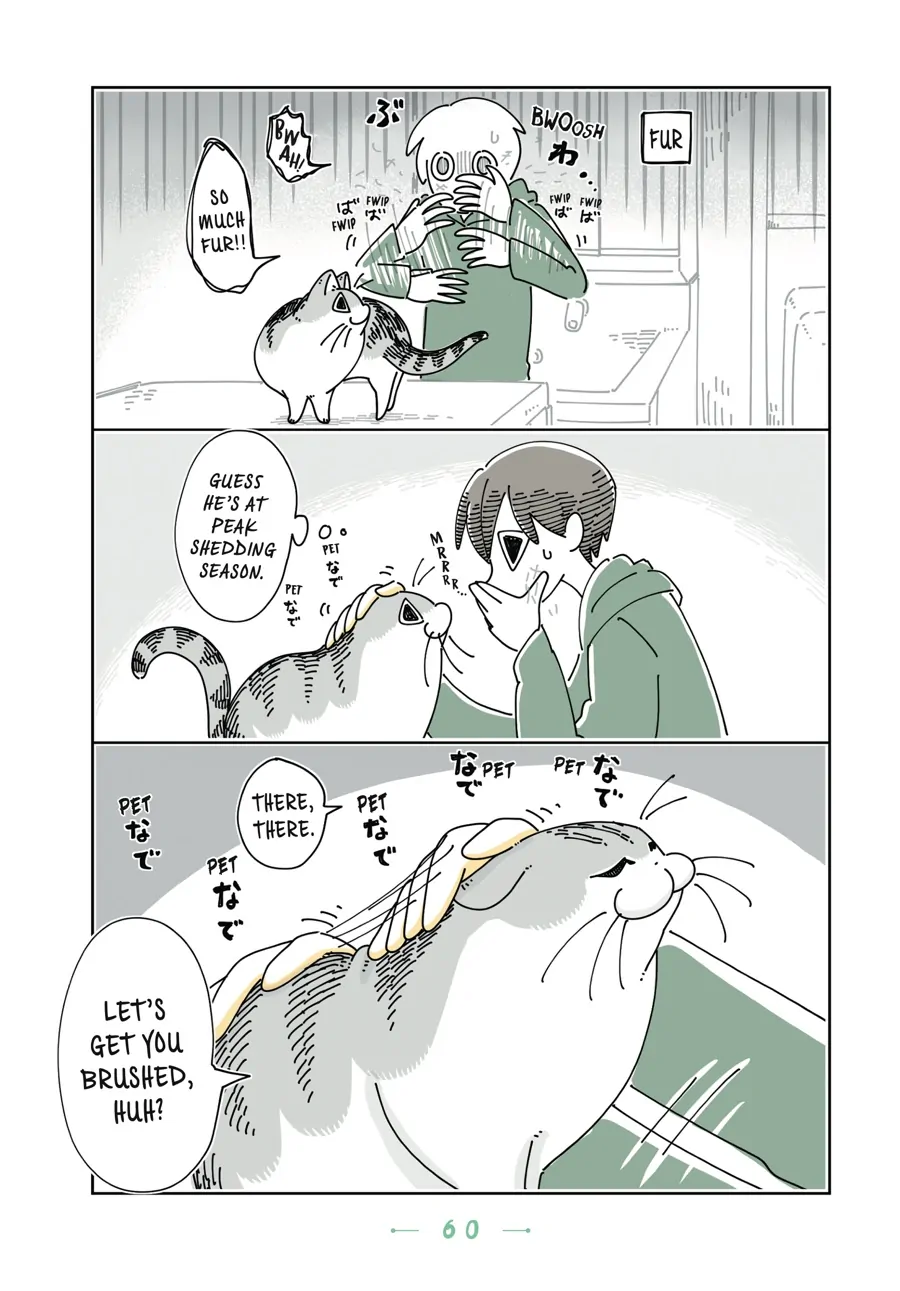 Nights with a Cat - chapter 82 - #2