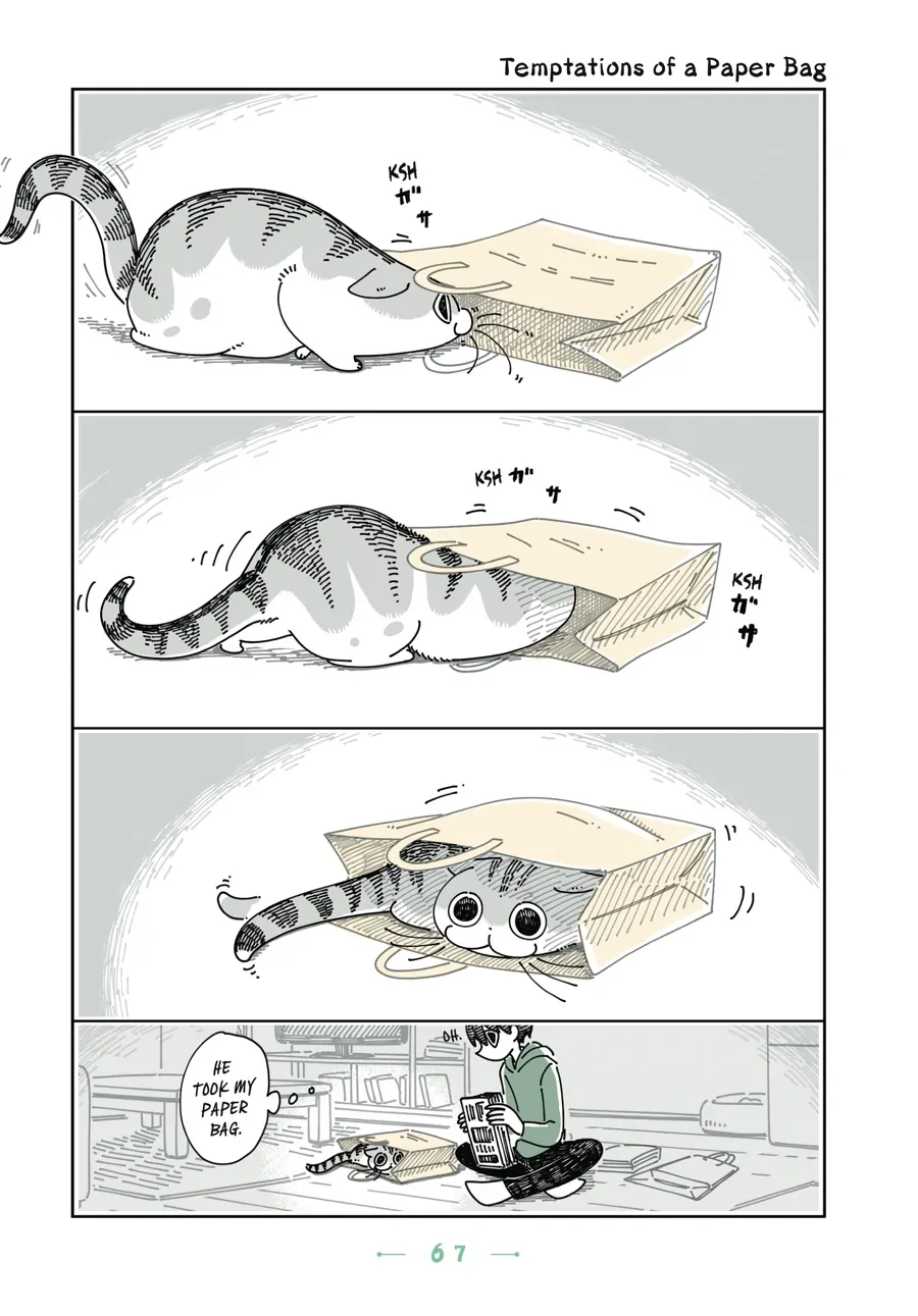 Nights with a Cat - chapter 84 - #1