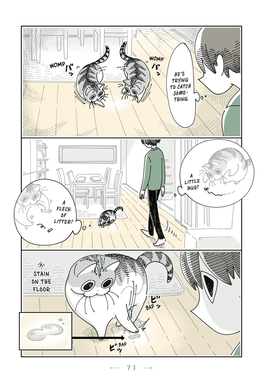Nights with a Cat - chapter 85 - #2