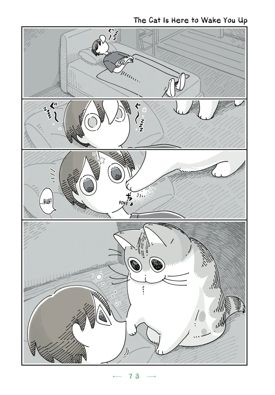 Nights with a Cat - chapter 86 - #1