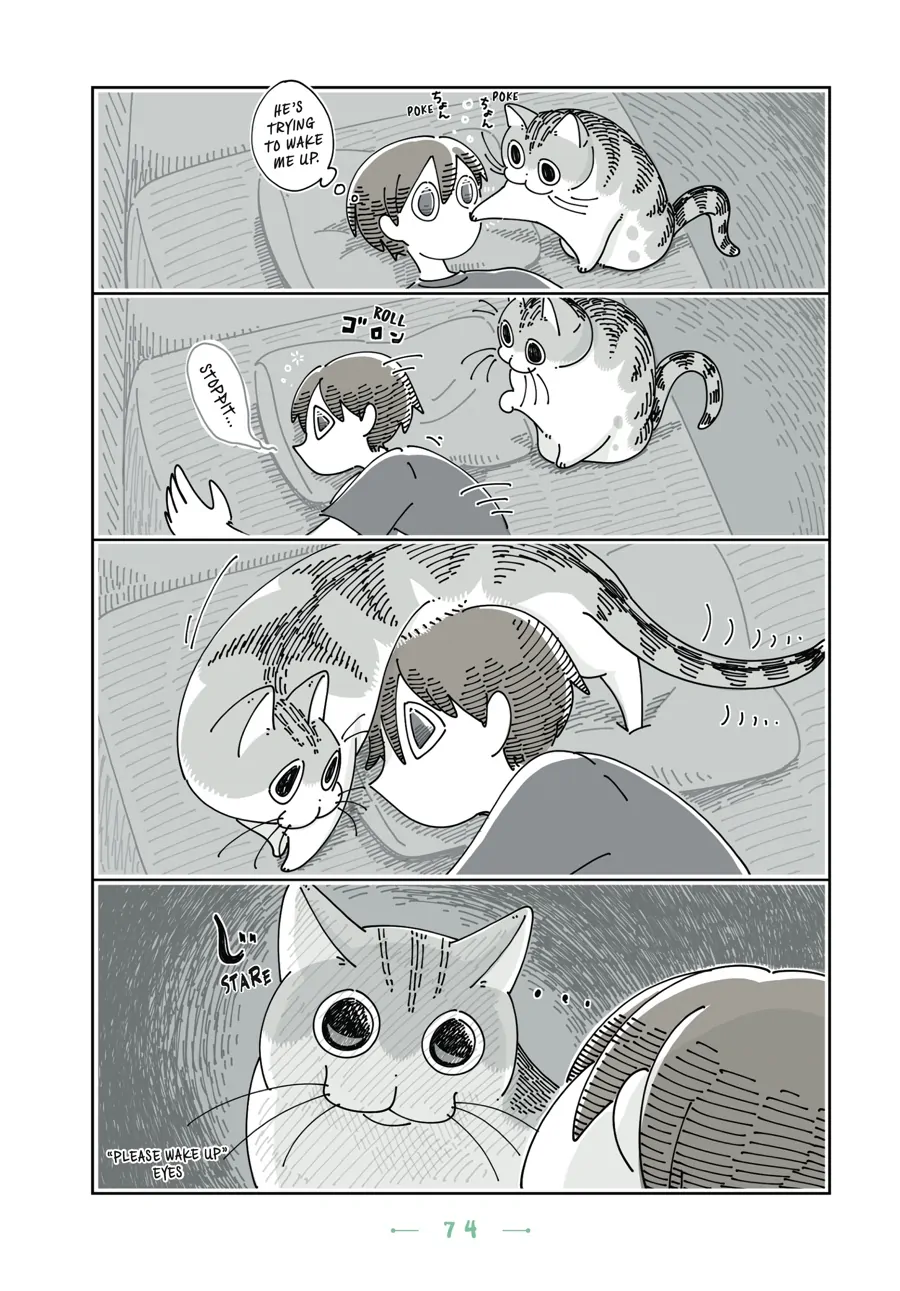 Nights with a Cat - chapter 86 - #2