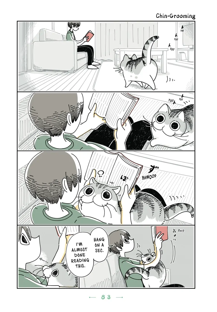 Nights with a Cat - chapter 89 - #1