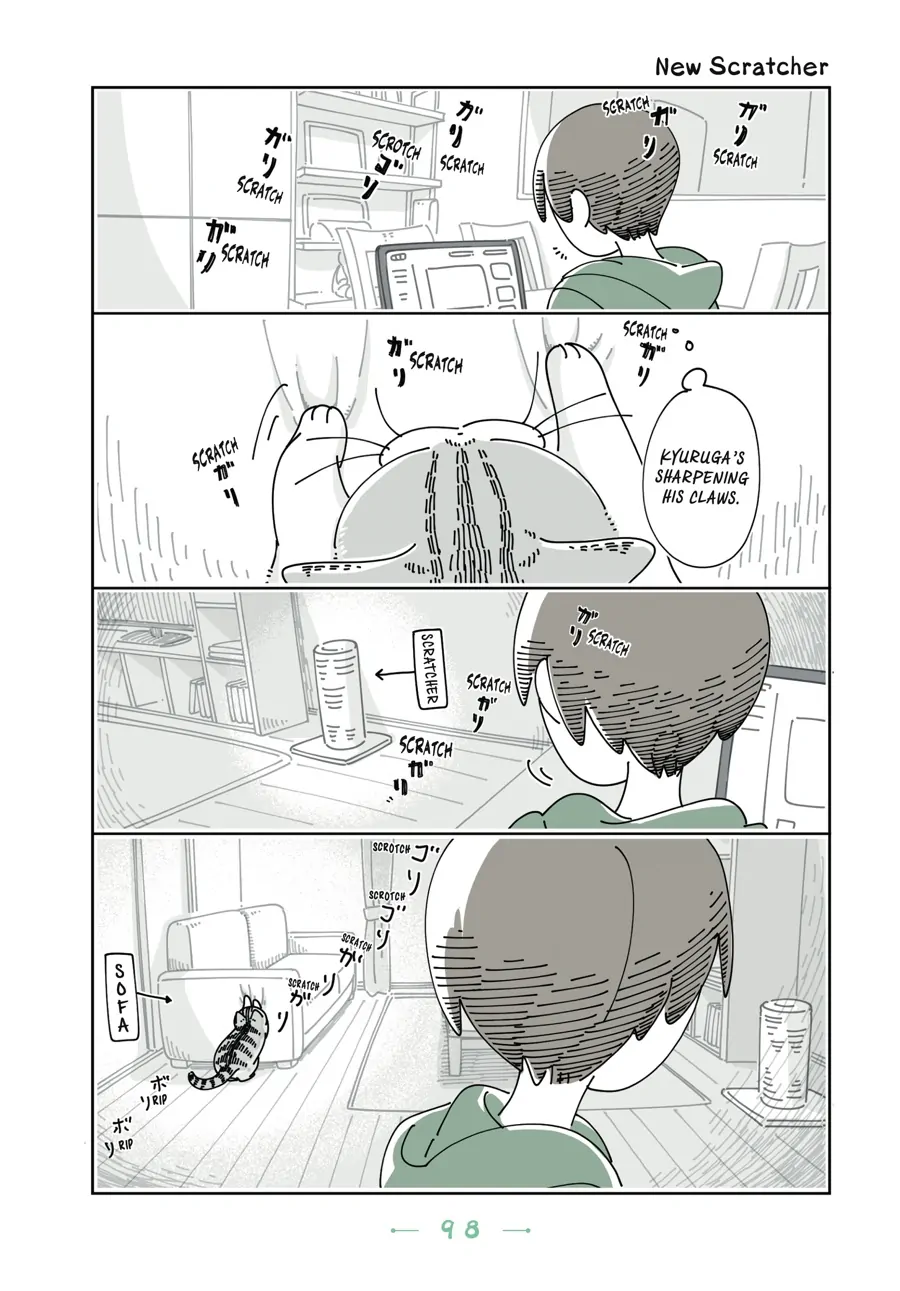 Nights with a Cat - chapter 91 - #1