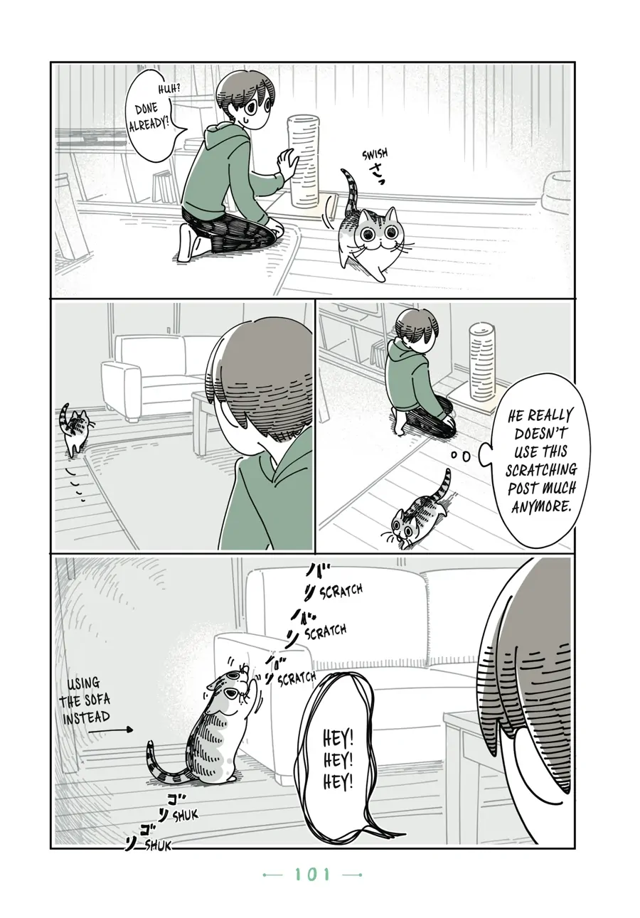 Nights with a Cat - chapter 91 - #4