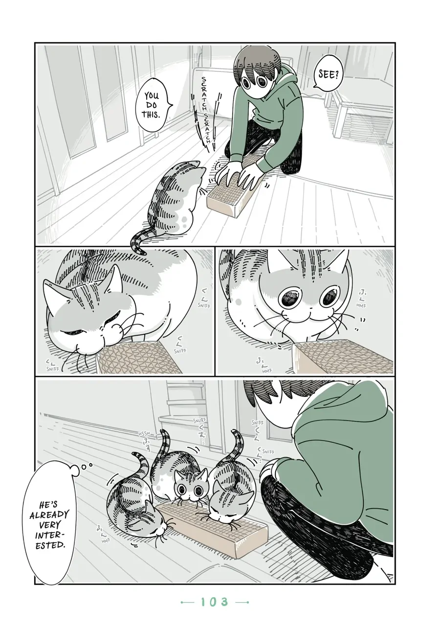 Nights with a Cat - chapter 91 - #6
