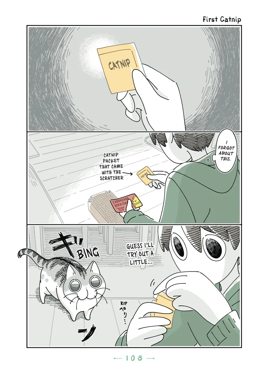 Nights with a Cat - chapter 92 - #1