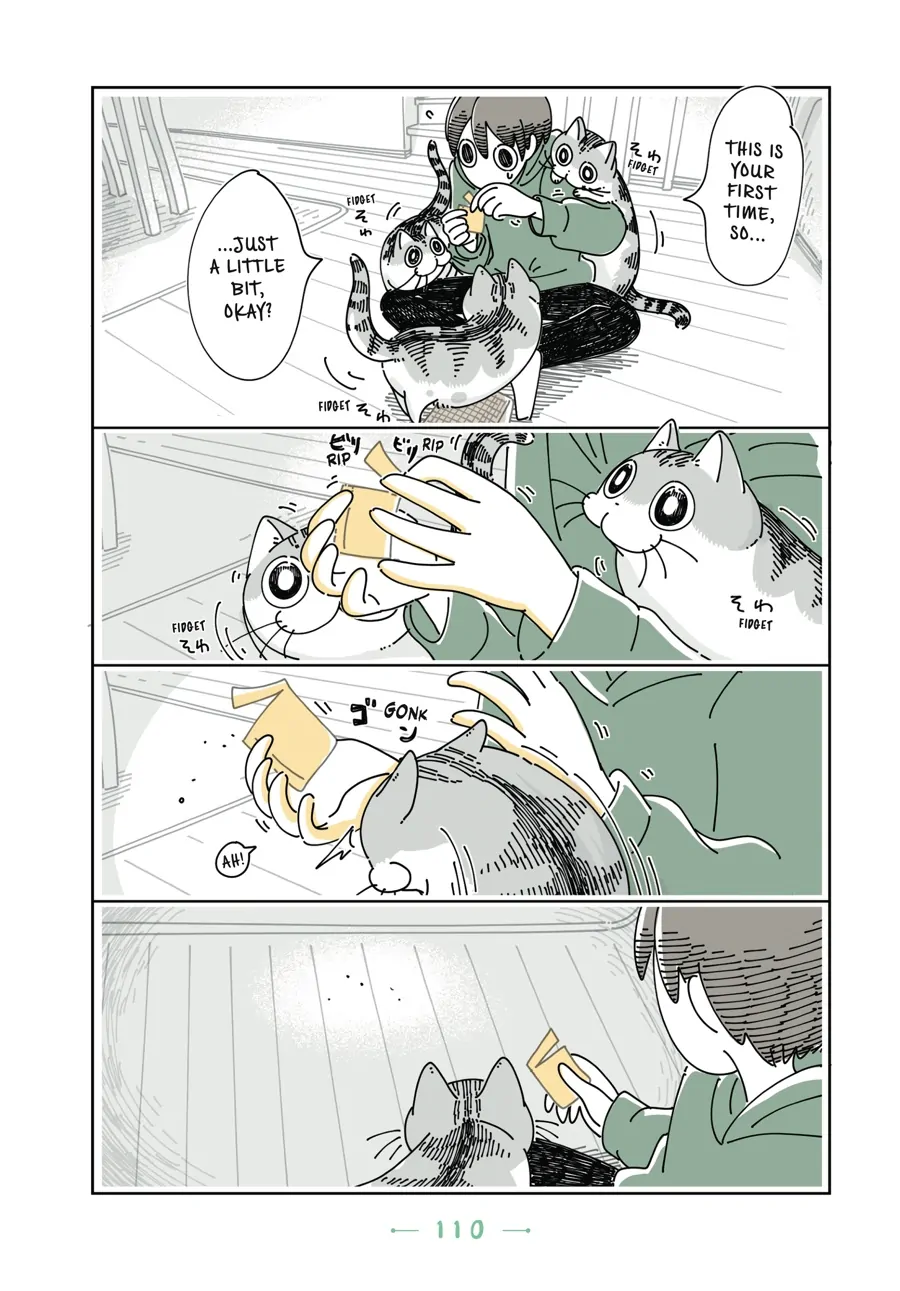 Nights with a Cat - chapter 92 - #3