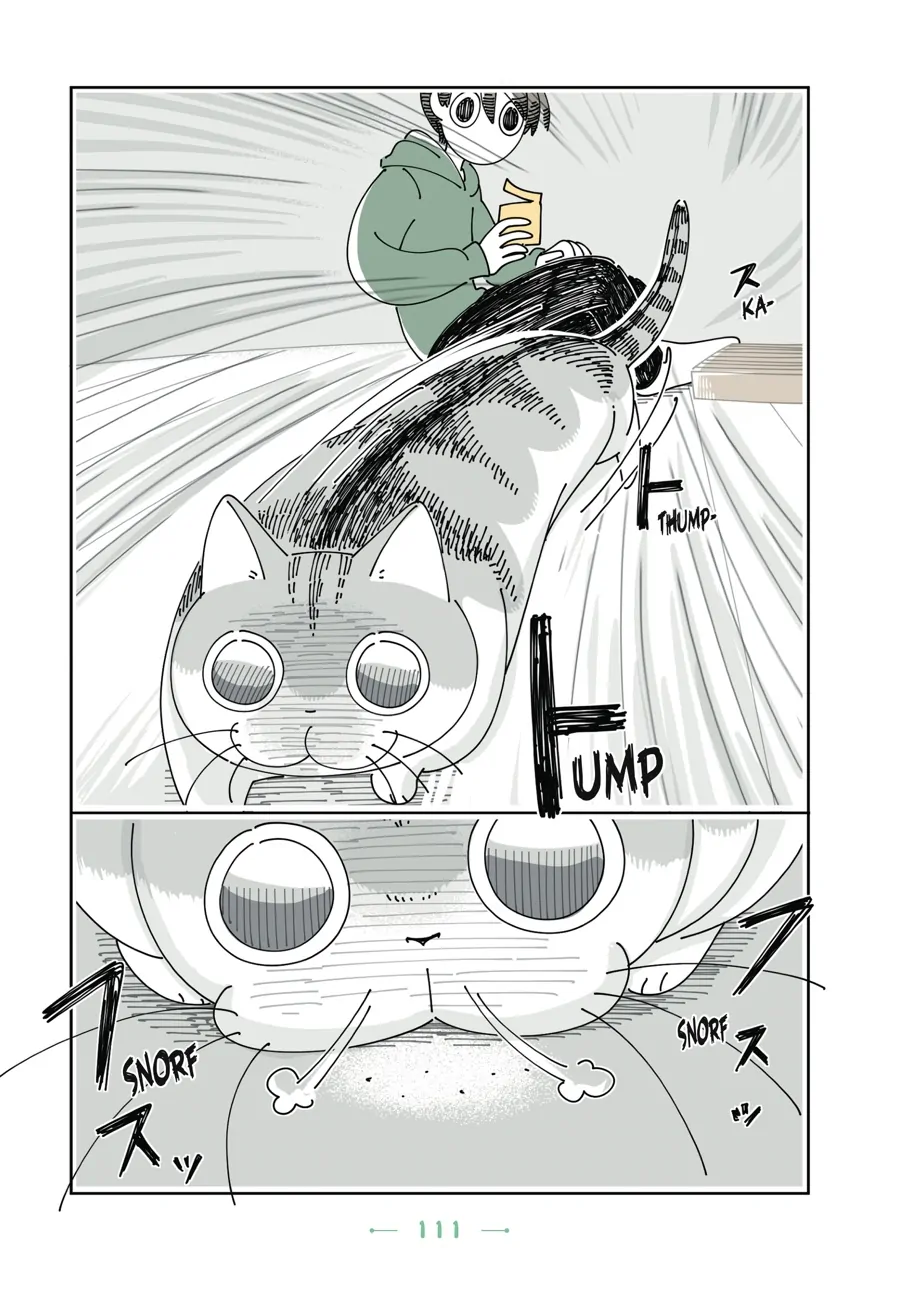 Nights with a Cat - chapter 92 - #4