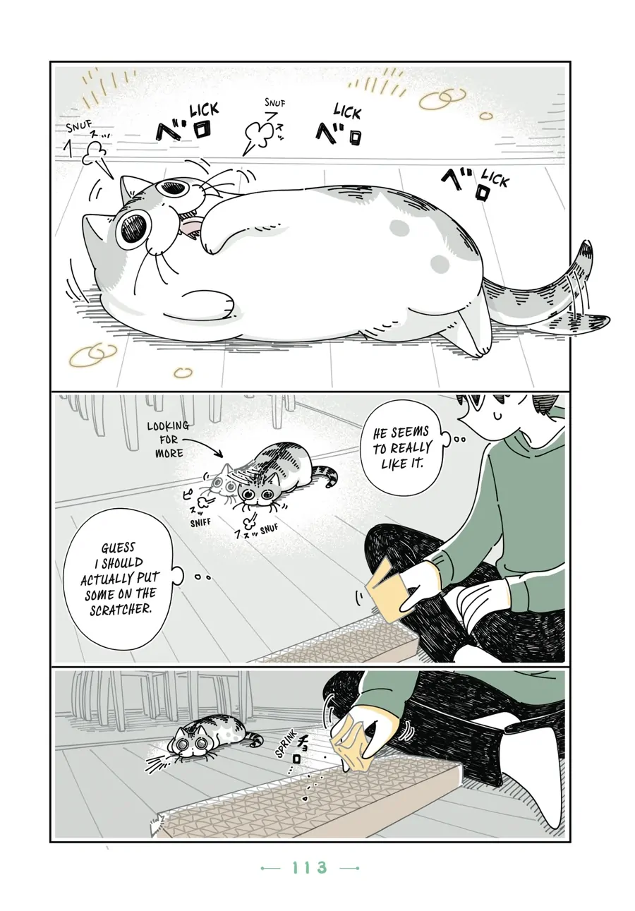 Nights with a Cat - chapter 92 - #6