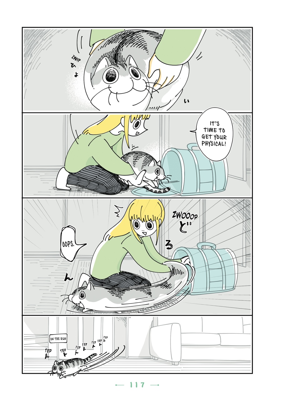 Nights with a Cat - chapter 93 - #2