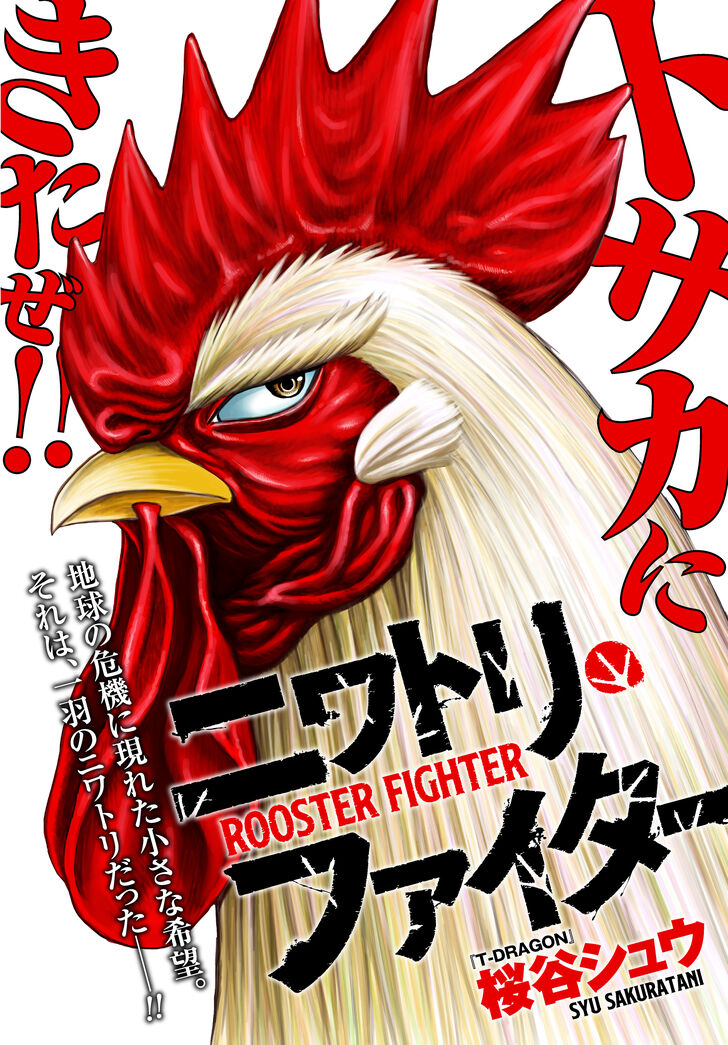 Niwatori Fighter - chapter 2 - #2