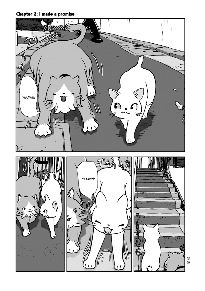 No Cats Were Harmed In This Comic. - chapter 3 - #1