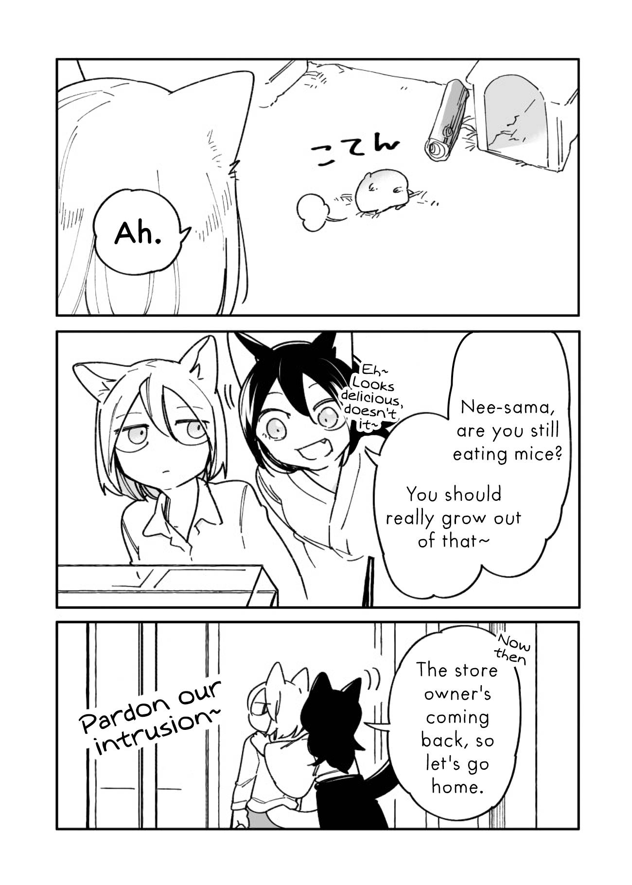 Nora-san the Tsungire Cat - chapter 4.5 - #6