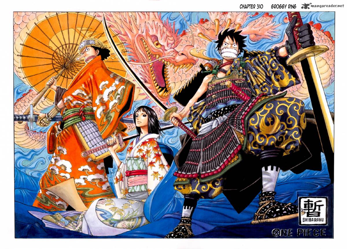 One Piece - Digital Colored Comics - chapter 310 - #2