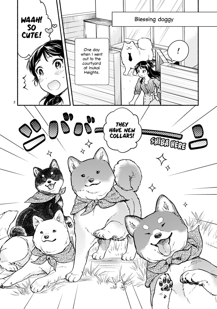 One Room Doggy - chapter 17 - #2